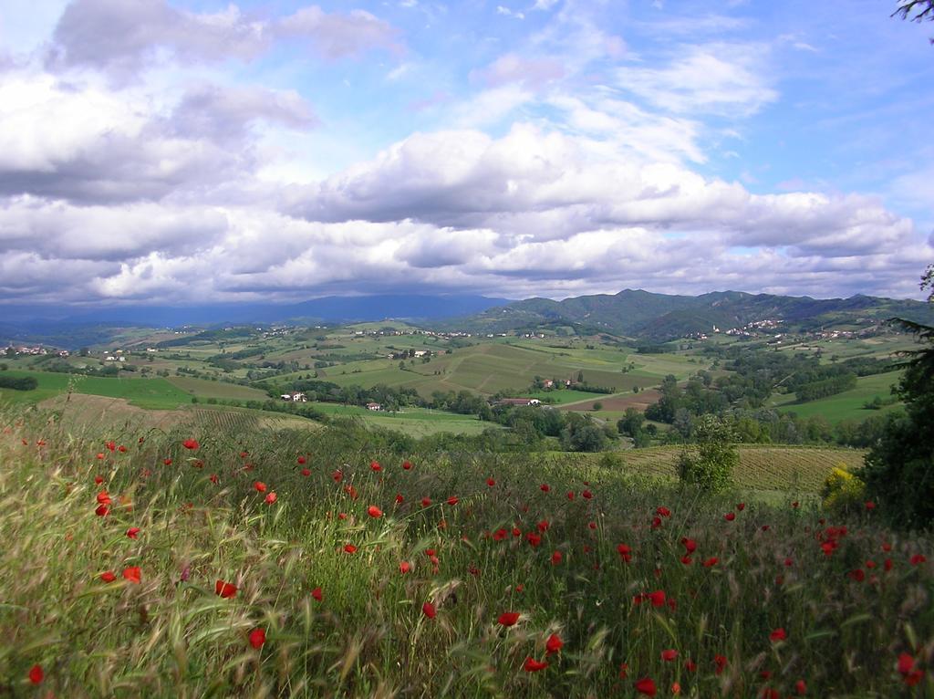 Villa Dei Romaniani Villaromagnano Екстер'єр фото