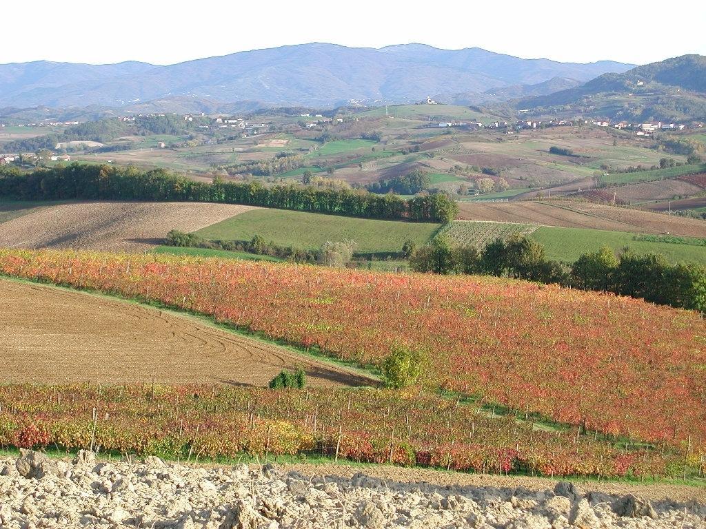 Villa Dei Romaniani Villaromagnano Екстер'єр фото