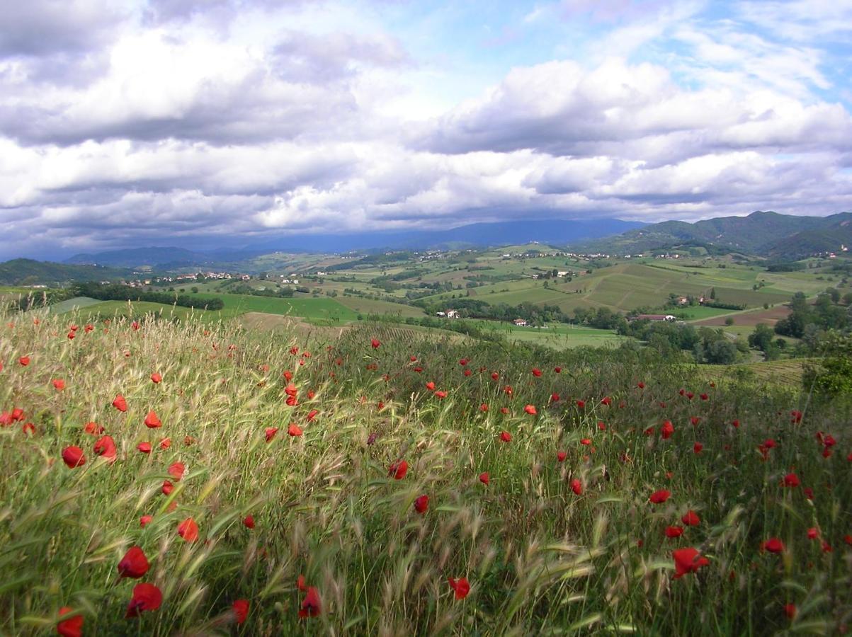 Villa Dei Romaniani Villaromagnano Екстер'єр фото